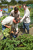 People with learning disabilities working on allotment