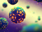 Polio virus particles,illustration