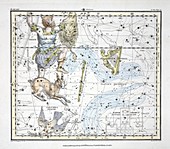 The Constellations (Plate XXIV), 1822