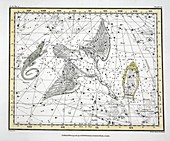 The Constellations Cygnus, Lacerta and Via Lactea, 1822