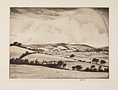A Valley in the South Downs, 1925