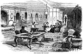 Grand saloon of the steamship 'Atlantic, 1850