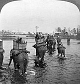 Returning to camp after a day's shoot, India, 1909