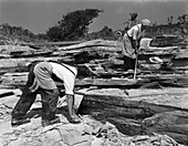 Quarrying slate by hand, Cornwall, 1959