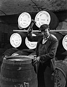 Coopering, making whiskey barrels at Wiley & Co, 1961