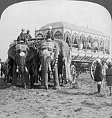 Carriage of the Maharaja of Rewa, Delhi Durbar, India, 1903