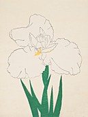 Fuji-No-Yuki, No 13, 1890, colour woodblock print