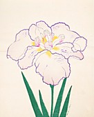 Tanporo, No 51, 1890, colour woodblock print