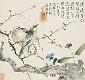 A pair of Chinese Bulbul birds, 1857