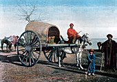 Bukhara wagon, Uzbekistan, c1890