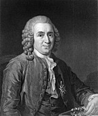 Carolus Linnaeus, 18th century Swedish naturalist