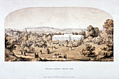 View of the Botanical Gardens in Regents Park, London, 1851