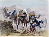 The Camel Train', 1855 From Constantinople and the Black Sea
