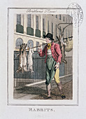Rabbits', Cries of London, 1804