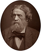 Charles Thomas Newton, Archaeologist