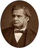 Professor Thomas Henry Huxley, 1880