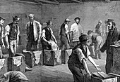 Packing tea in the warehouses, London, 1874