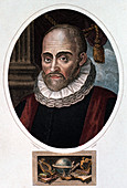 Adolphus Metkerke, Flemish philologist and statesman