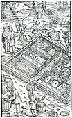 Producing salt by evaporating sea water in salt pans, 1556