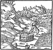 Producing salt by evaporating natural brine, 1556