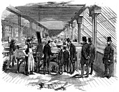 Day & Son's lithography workshop, 1856