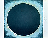 Solar corona and prominences 1860
