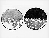 Sketch of the moon by Galileo Galilei, c1635