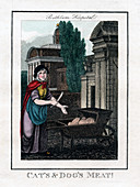 Cat's and Dog's Meat!', Bethlem Hospital, London, 1805