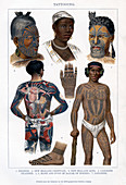 Tattooing', 1800-1900