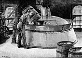Adding hops to boiling beer in an American brewery, 1885