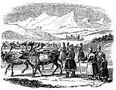 Lapps setting out on migration with reindeer, Lapland, 1840