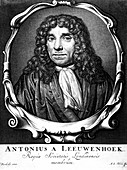Anton van Leeuwenhoek, Dutch pioneer of microscopy, 1723