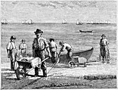 Cape Cod fisherman washing fish, 1875