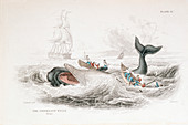 Harpooning a Sperm Whale, 1837