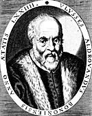 Ulisse Aldrovandi, Italian botanist and physician