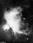 Great Nebula in Orion (NGC 1976 - M42), 16 November 1898