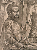 Andreas Vesalius dissecting the muscles of the forearm