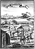 Sugar factory and plantation in the West Indies, 1686