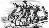 Prospectors on their way to the Californian gold fields