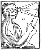 Descartes' idea of vision, 1692