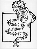 Sanctorius' clinical 'thermometer', 1612