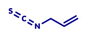Allyl isothiocyanate mustard pungency molecule