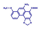 Aristolochic acid plant poison molecule