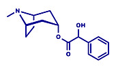 Atropine deadly nightshade alkaloid molecule