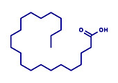 Behenic acid saturated fatty acid molecule