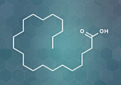 Behenic acid saturated fatty acid molecule