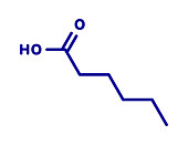 Caproic acid fatty acid molecule