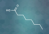 Caprylic acid molecule