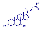 Chenodeoxycholic acid drug molecule