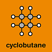 Cyclobutane cyclic alkane molecule